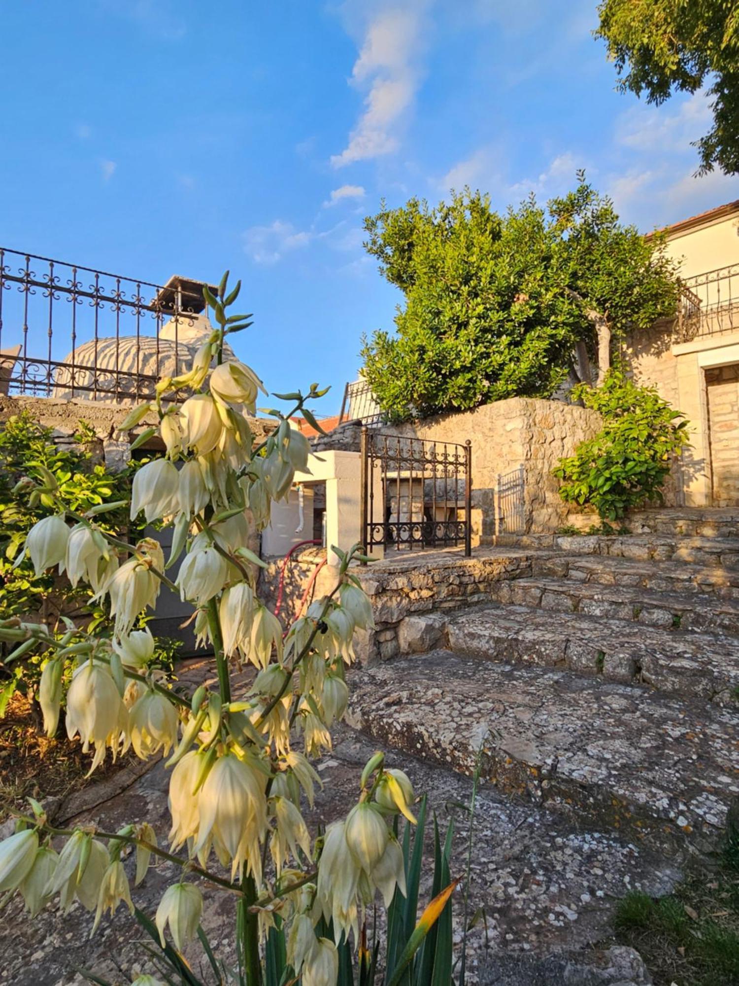 Authentic House Pelegrinka Villa Mali Drvenik Luaran gambar